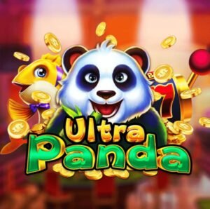 411641169 122119235162099107 2729146176369042919 n